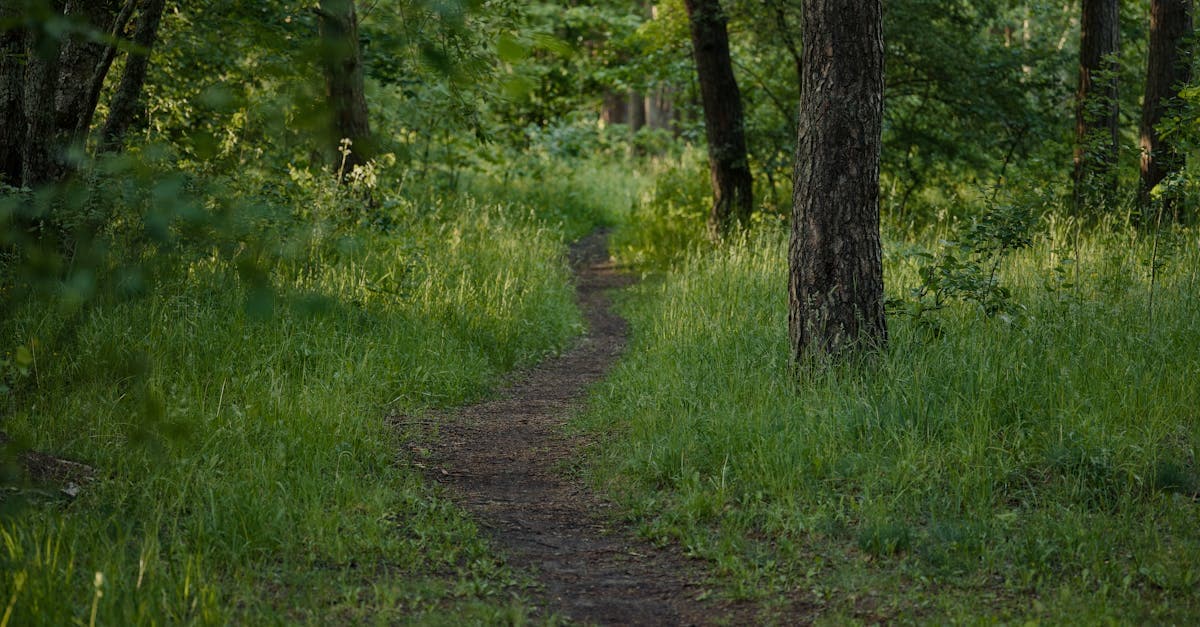 คู่มือหวยลาว ฉบับสมบูรณ์ ลาวพัฒนา ลาวสตาร์ ลาว VIP | Fethiye Psikolog