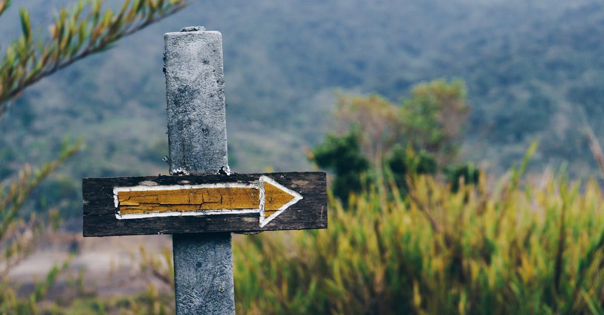 หวยยี่กี คืออะไร วิธีเล่น อัตราจ่าย สูตรลับ | Fethiye Psikolog