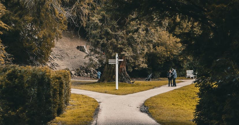 หวยฮานอยวันนี้ ผลออกทุกรอบ สถิติย้อนหลัง | Fethiye Psikolog